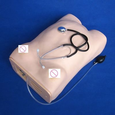 산부인과 검사 산모 복부 감동 임신부 돌봄 마니킨