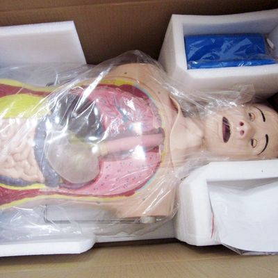 혁신적인 코 위관 및 호흡기 기술 현실적인 특징을 가진 간호 인형