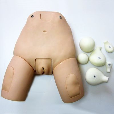 자궁 검사를 위한 고급 Fundus 시뮬레이터 모델 산후 여성 인형