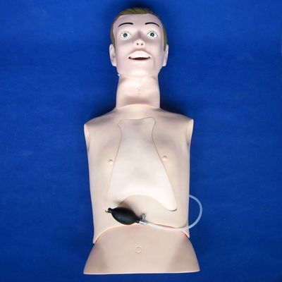 전문 인체 크기의 인투베이션 및 흡수 훈련 인형 간호 기능