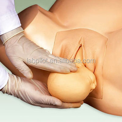 산부인과 의학 교육을위한 현실적인 인간 생명 크기 임신 시뮬레이터