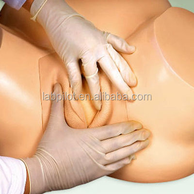 산부인과 의학 교육을위한 현실적인 인간 생명 크기 임신 시뮬레이터