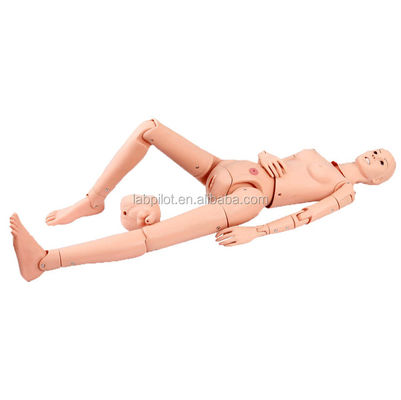 고급 PVC 및 흡수 기능이 있는 다기능 간호 교육 마니킨