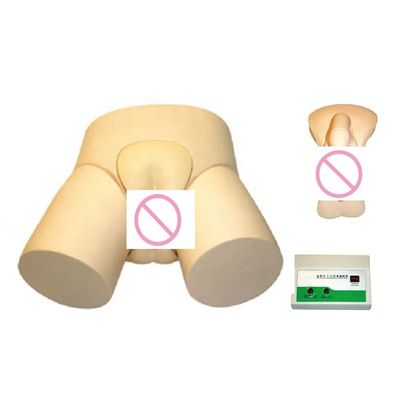 고급 PVC 전자 요도관 카테테리제 및 전문용 클리네마 훈련 모델