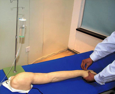 완전 기능성 고급 PVC 정맥 투혈 및 주사 팔 IV 훈련 모델