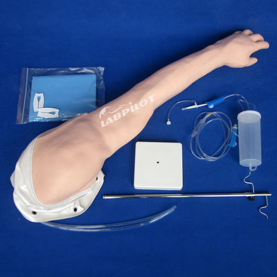 완전 기능성 고급 PVC 정맥 투혈 및 주사 팔 IV 훈련 모델