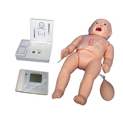 다기능 산모 및 소아치료용 CPR 오스컬테이션 기능 마니킨