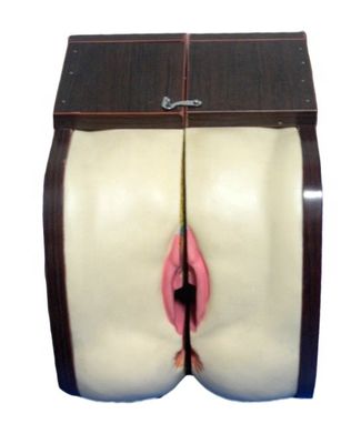 의학 과학 에서 피임 을 위한 IUD 훈련 을 위한 장점