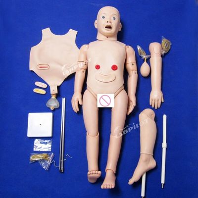소아과 3세 아동의 산모 및 소아 치료 훈련에 대한 해부학적 모델