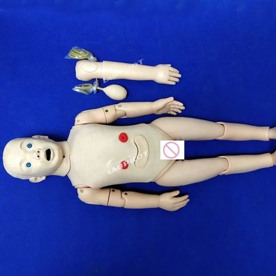 소아과 3세 아동의 산모 및 소아 치료 훈련에 대한 해부학적 모델
