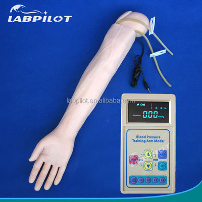 의학 실무용 팔 시뮬레이션 및 BP 측정 훈련용 고급 PVC 마니킨