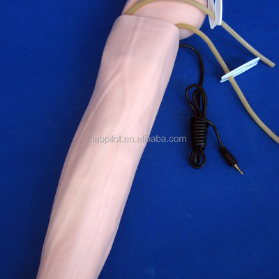 의학 실무용 팔 시뮬레이션 및 BP 측정 훈련용 고급 PVC 마니킨