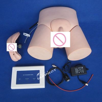 첨단 PVC 컨트롤러 작동 간호 카테테리제 인형 인간 생활 크기