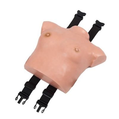 고도의 PVC 웨어러블 유방 검사 모델 여성 건강 관리 기술 교수 해부학 수업