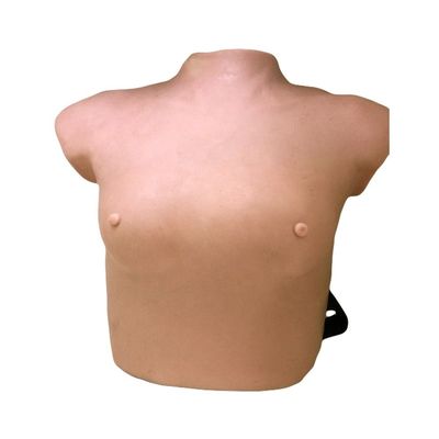 고도의 PVC 웨어러블 유방 검사 모델 여성 건강 관리 기술 교수 해부학 수업