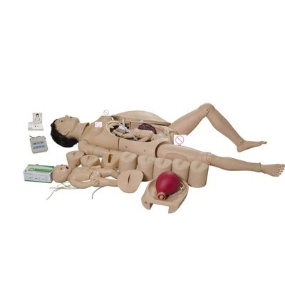 현실적인 모성 및 신생아 비상 시뮬레이션을위한 출산 훈련 인형