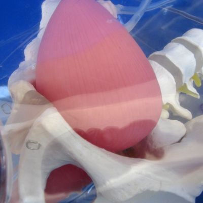 고급 PVC 투명한 여성 요양 훈련용 요도관 카테테리제이션 트레이너