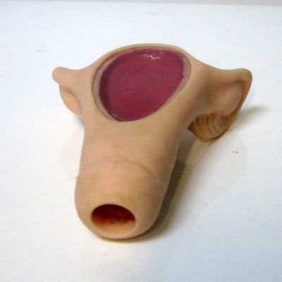 환자 돌봄 시연 의료 과학용 소형 휴대용 IUD 삽입 훈련기