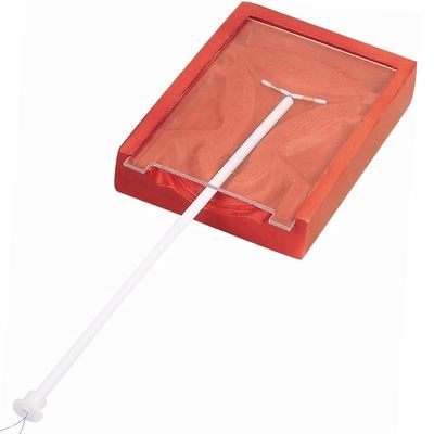 산부인과 및 산부인과 기술 교육 IUD 삽입 교육자 환자 돌봄