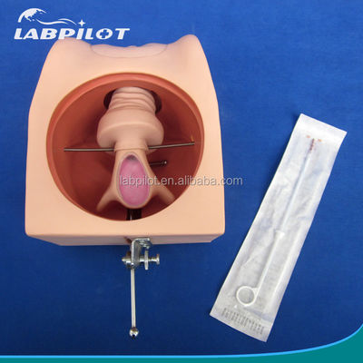 여성 피임 시뮬레이터 및 IUD 모델로 임상 간호 기술 개선