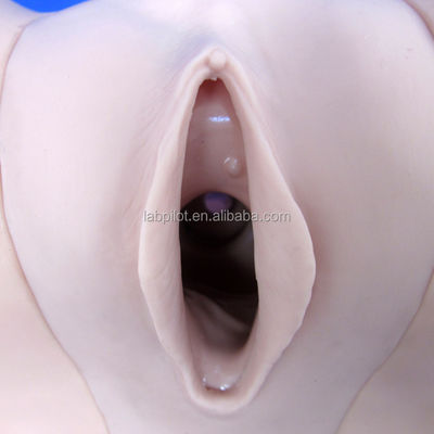 여성 피임 시뮬레이터 및 IUD 모델로 임상 간호 기술 개선