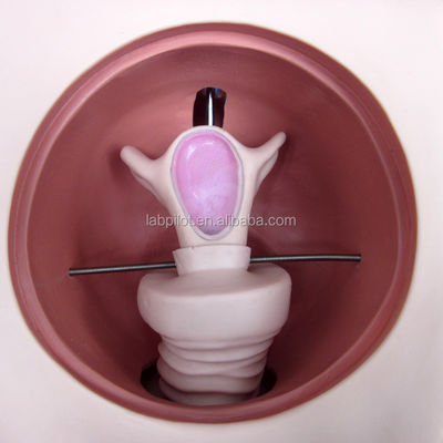 여성 피임 시뮬레이터 및 IUD 모델로 임상 간호 기술 개선
