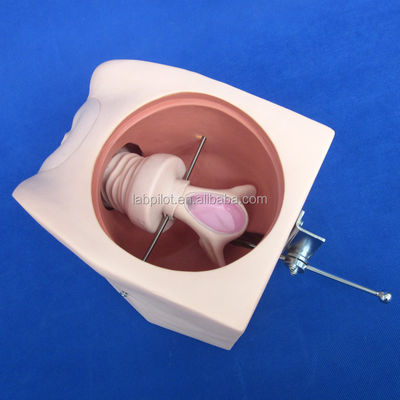 여성 피임 시뮬레이터 및 IUD 모델로 임상 간호 기술 개선