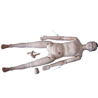 건강 관리 전문가들을 위한 인간 생명 크기의 종합적인 임상 교육 인형