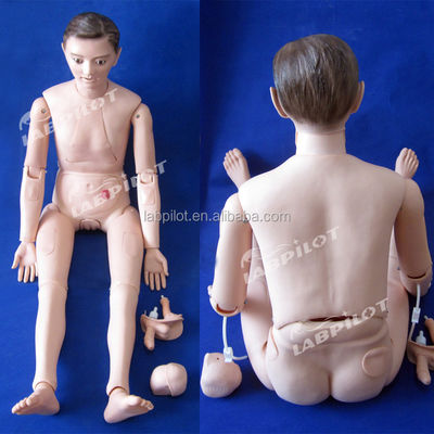 건강 관리 전문가들을 위한 인간 생명 크기의 종합적인 임상 교육 인형
