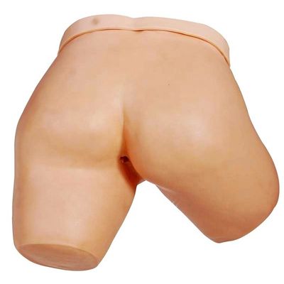 병원 의 의료 훈련 모델 에니마 관리 시뮬레이션
