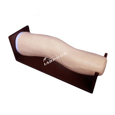 관절 내 주입 및 관절 흡수 훈련을위한 고급 PVC 무릎 모델