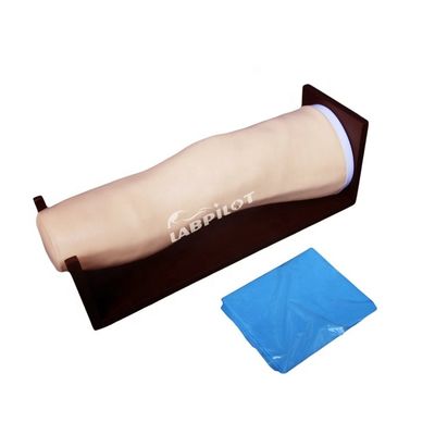 관절 내 주입 및 관절 흡수 훈련을위한 고급 PVC 무릎 모델
