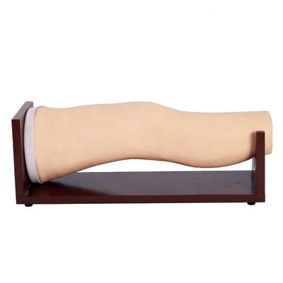 관절 내 주입 및 관절 흡수 훈련을위한 고급 PVC 무릎 모델