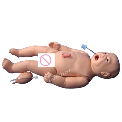 카테고리 소아과 진료 첫 진료 CPR 훈련 완전 기능성 신생아용 인형