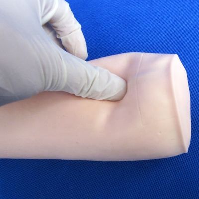 의학 과학 경제 부드러운 정맥 절개 및 IV 주사 교육 모델 팔꿈치 펀처 시뮬레이터