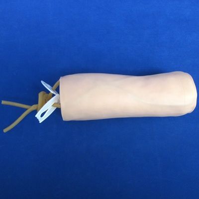 의학 과학 경제 부드러운 정맥 절개 및 IV 주사 교육 모델 팔꿈치 펀처 시뮬레이터