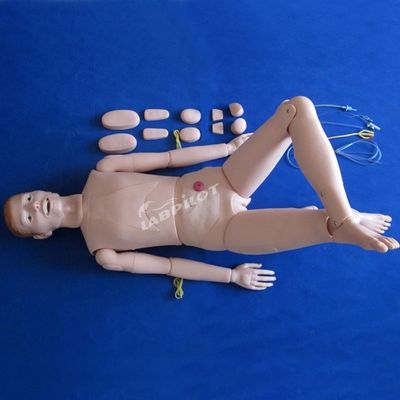 환자 돌봄 시연 첨단 의학 과학 간호 내부 기관 인형
