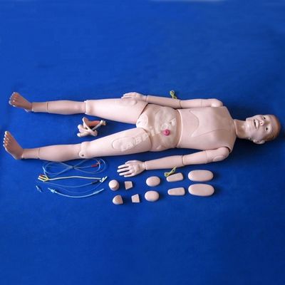 환자 돌봄 시연 첨단 의학 과학 간호 내부 기관 인형