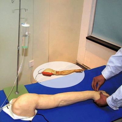 포괄적 인 정맥 절개 훈련 팔 인체 생명 크기 모델 IV 및 IM 주입