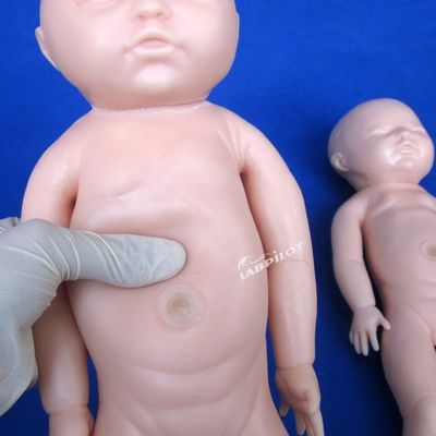 인간 생명 크기 임신 인형 아기 출산 시뮬레이터 의학 과학 모델
