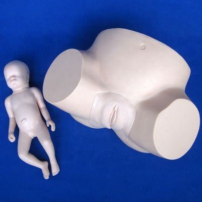 진공 추출 훈련용 고급 PVC 인형 임신 출산 시뮬레이터