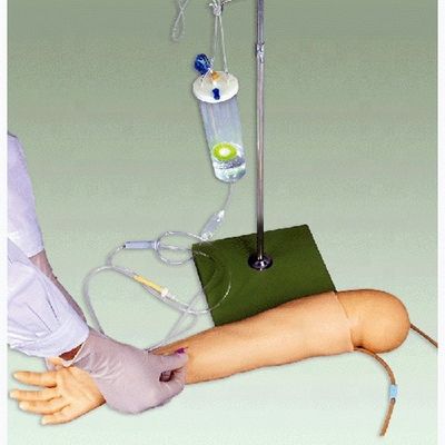4세 어린이용 첨단 PVC 재료 정맥 내 투여 훈련 팔 모델