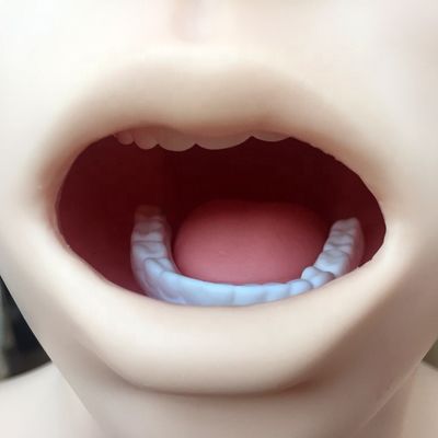 투명한 위장 세척 모델 간호 교육용 코 먹이관 시뮬레이터