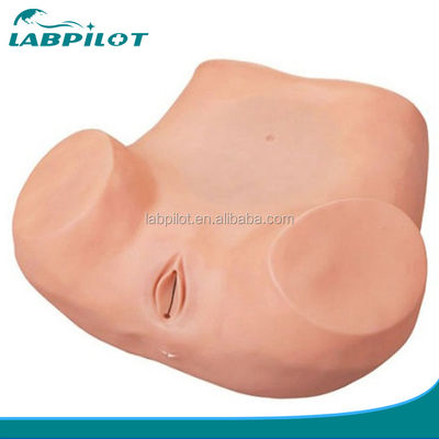 고급 PVC 소재로 여성 건강 교육 생리학 시험 훈련 시뮬레이터