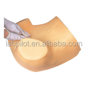 고급 PVC 소재로 여성 건강 교육 생리학 시험 훈련 시뮬레이터