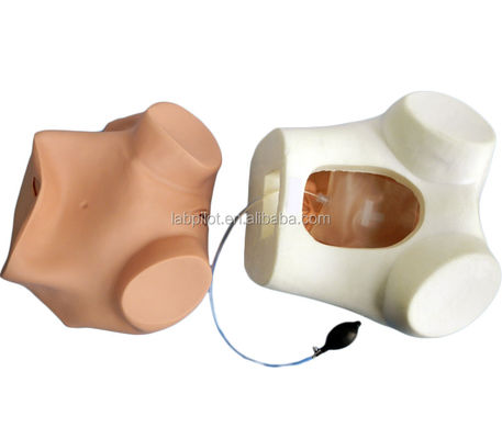 고급 PVC 소재로 여성 건강 교육 생리학 시험 훈련 시뮬레이터