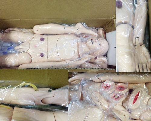 인간 생명 크기 완전 기능성 성인 간호용 인형 혈압 시뮬레이터 의료 훈련 인형