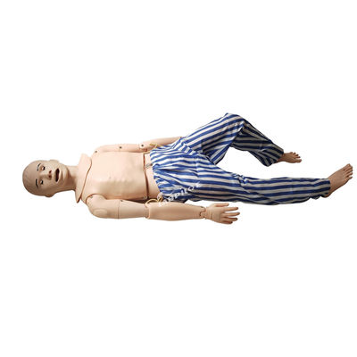 의료 과학 훈련 인형 고급 PVC 나사 위관관 간호 시뮬레이터