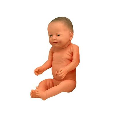 유연한 관절과 현실적인 특징을 가진 경제 간호사 학교 교육 모델