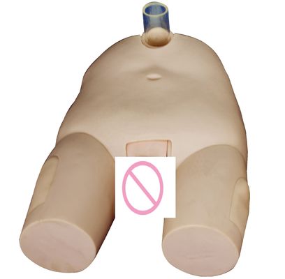 PVC 남성/여성 방광 관개 훈련 모델 카테테리제 기술 및 펑크 작업 시뮬레이터